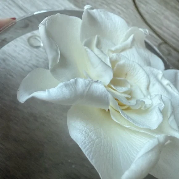 Elegant White Flower Decor by Venus Et Fleur - Picture 7 of 7